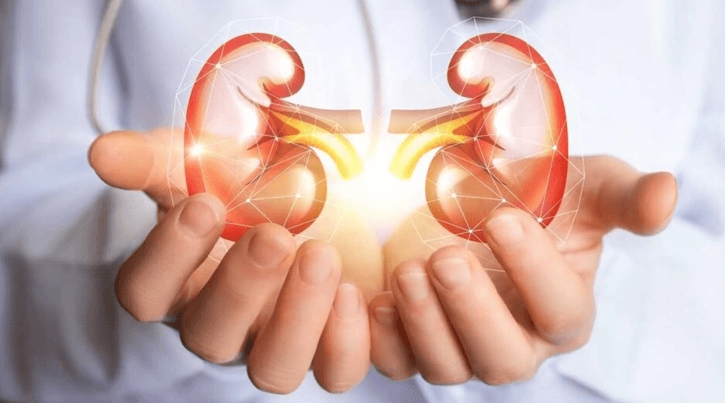 Protect Your Kidneys: Prevention is Better Than Cure